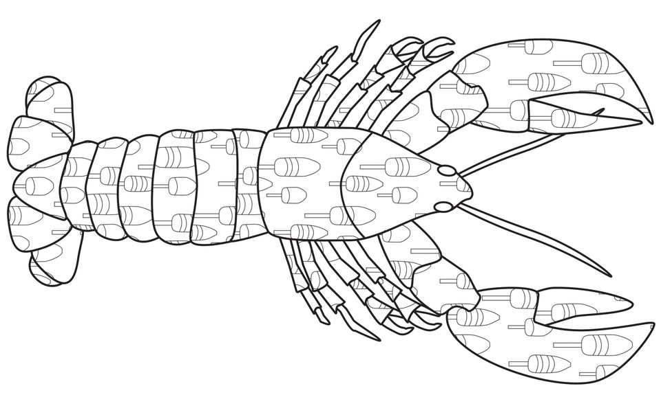 Lobster coloring page