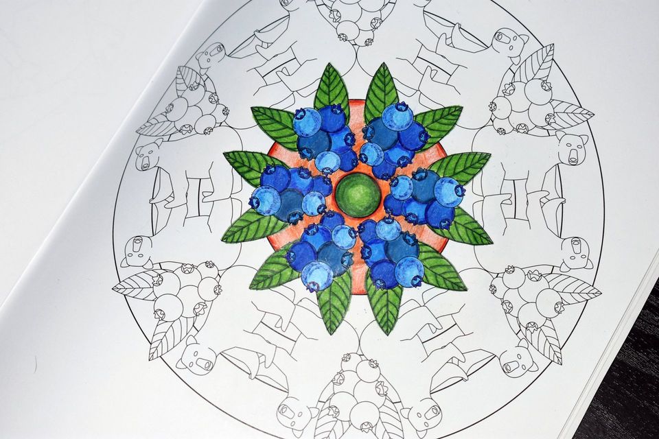 Coloring page with bears and blueberries