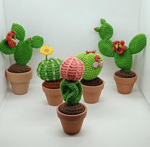 Accesorios para Cactus