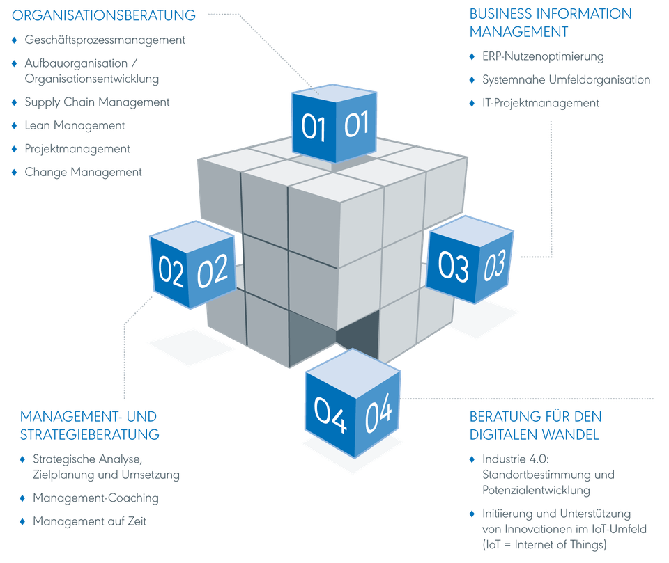 Der Zauberwürfel unseres Beratungsansatzes Angebot unserer Unternehmensberatung, Analyse von Strukturen und Prozesse, Betrachtung der IT-Systeme wie ERP, CRM, APS, MES, SCM, sowie Strategie-, Change- und Interim-Management
