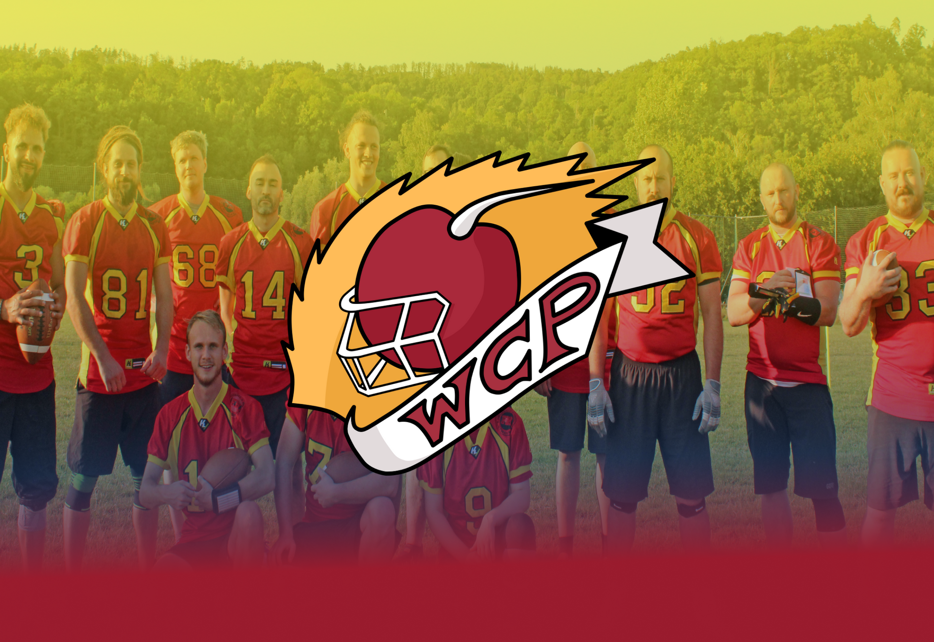 Cherry Pickers Image