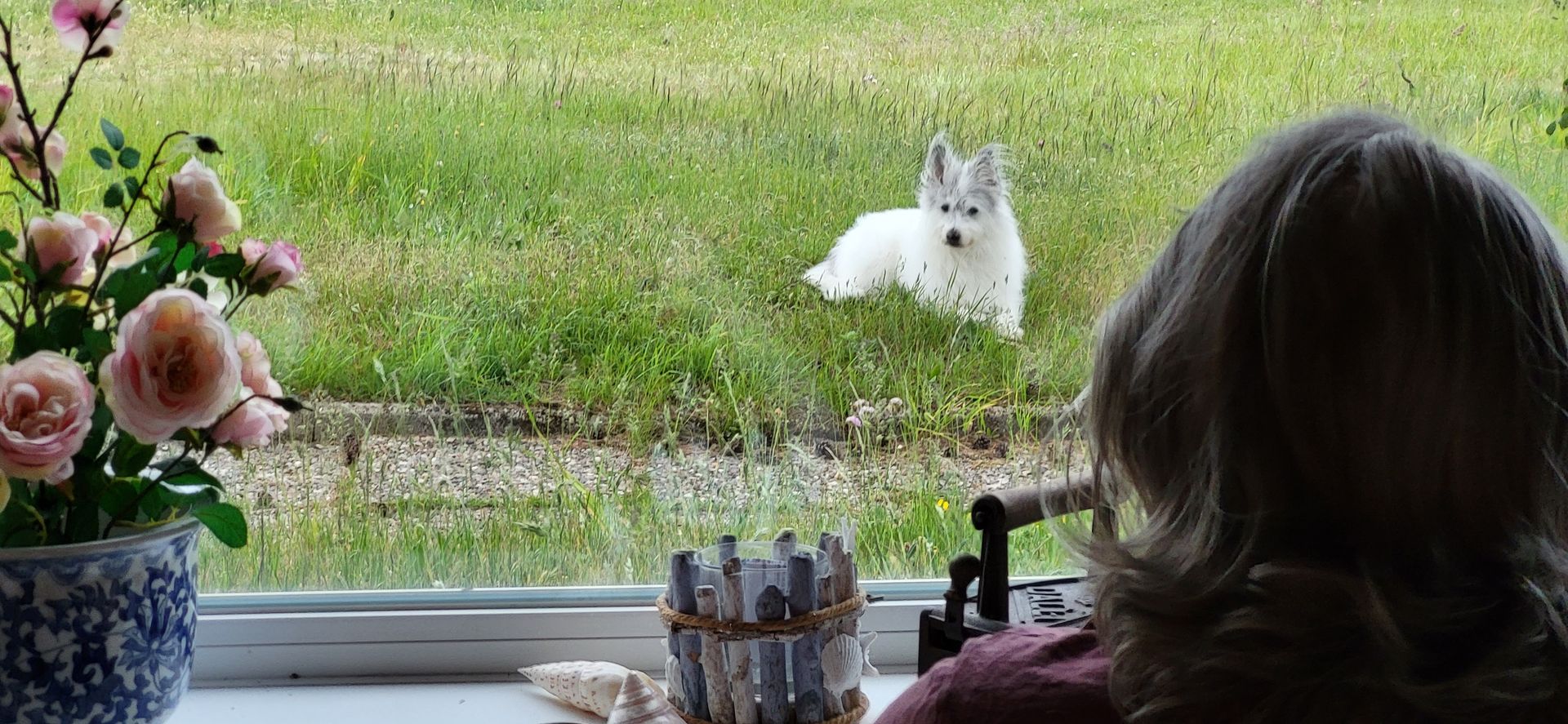 Um Ihnen den besseren Ausblick über die Leistungswertigkeit von Sylter Pflegezeiten zu verschaffen