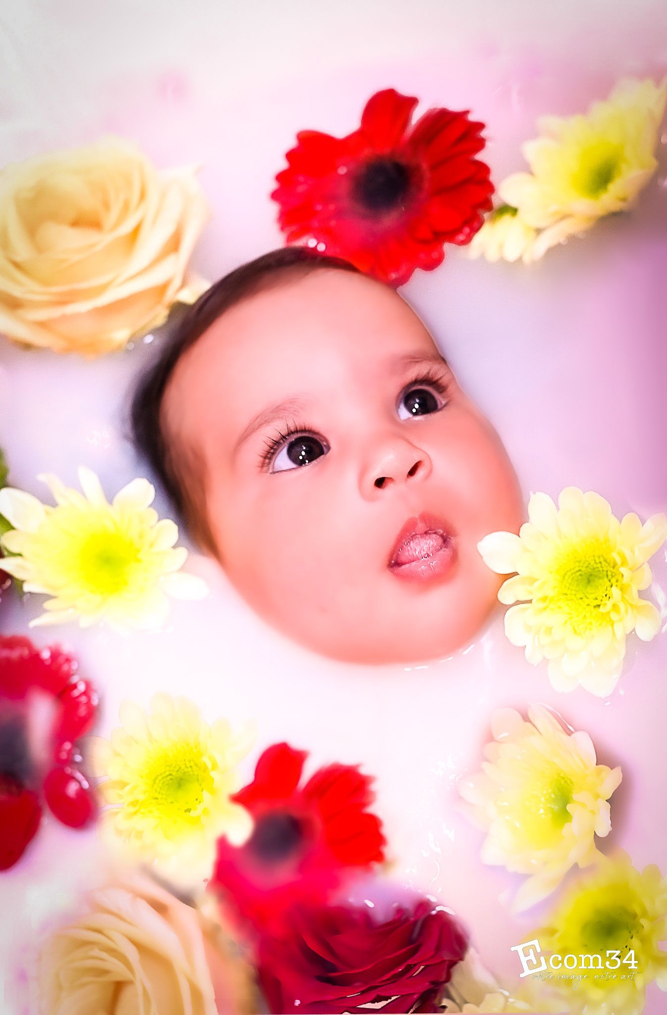 photographe aucamville