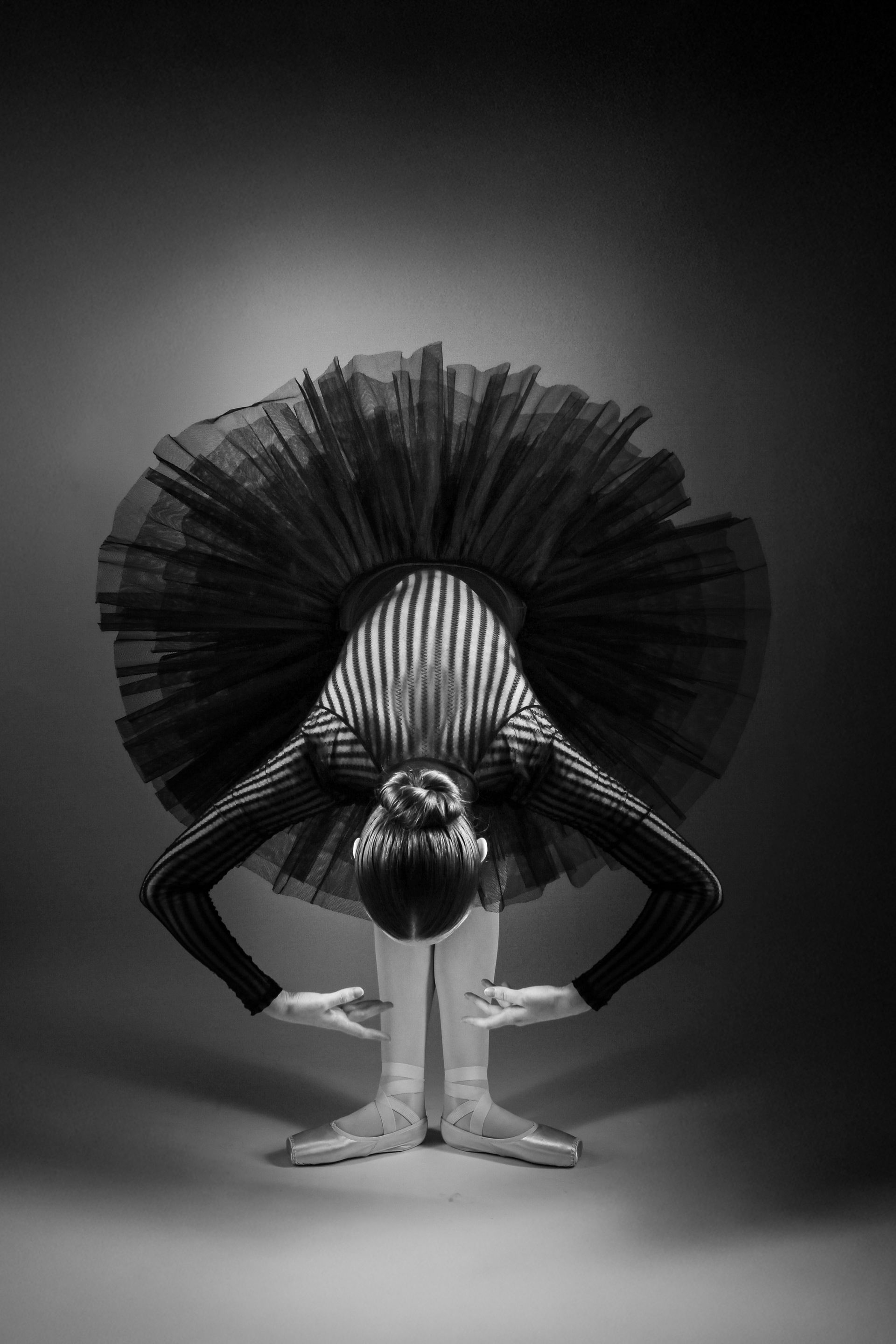 photographe aucamville