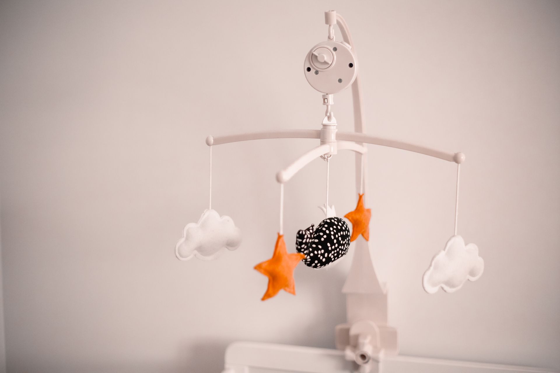 photographe professionnel cepet professionnel cepet