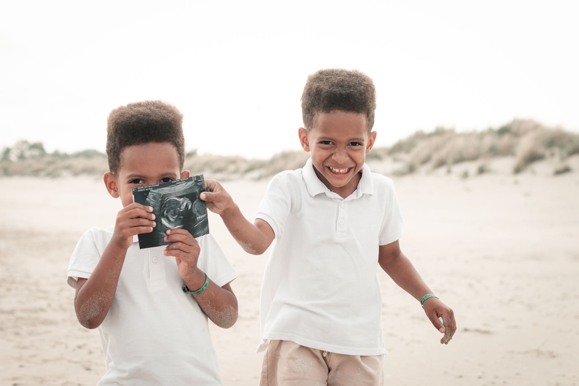 photographe fenouillet