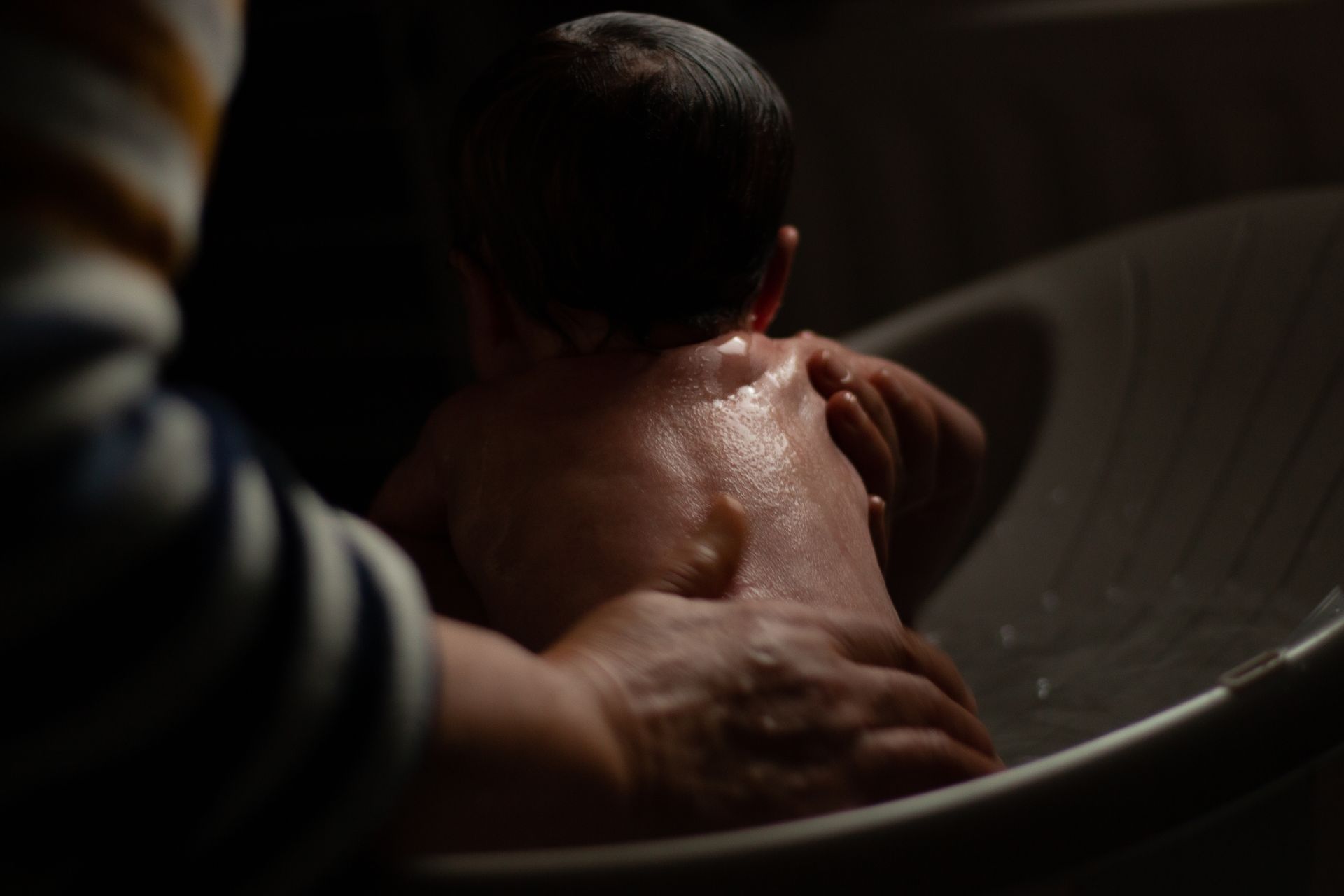 photographe fenouillet