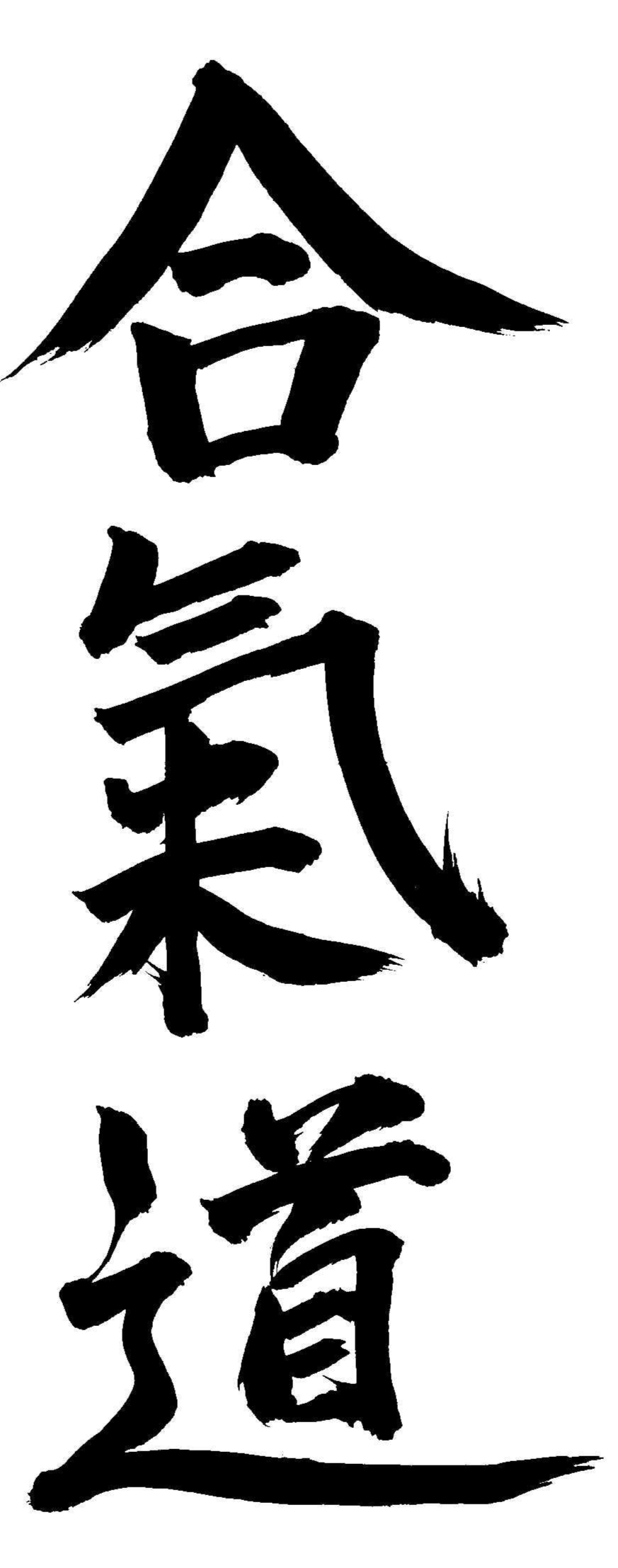 Aikido, japanische Kampfkunst AIKIDO