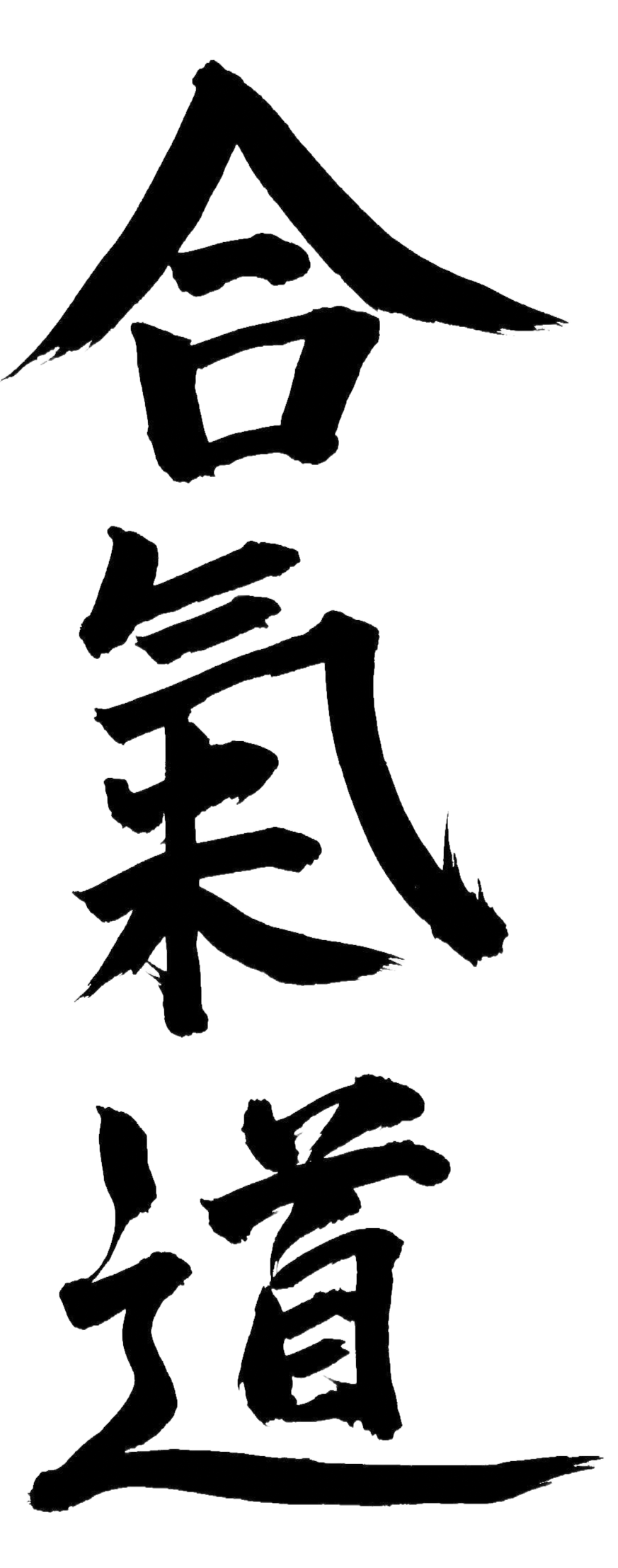 Aikido, japanische Kampfkunst AIKIDO