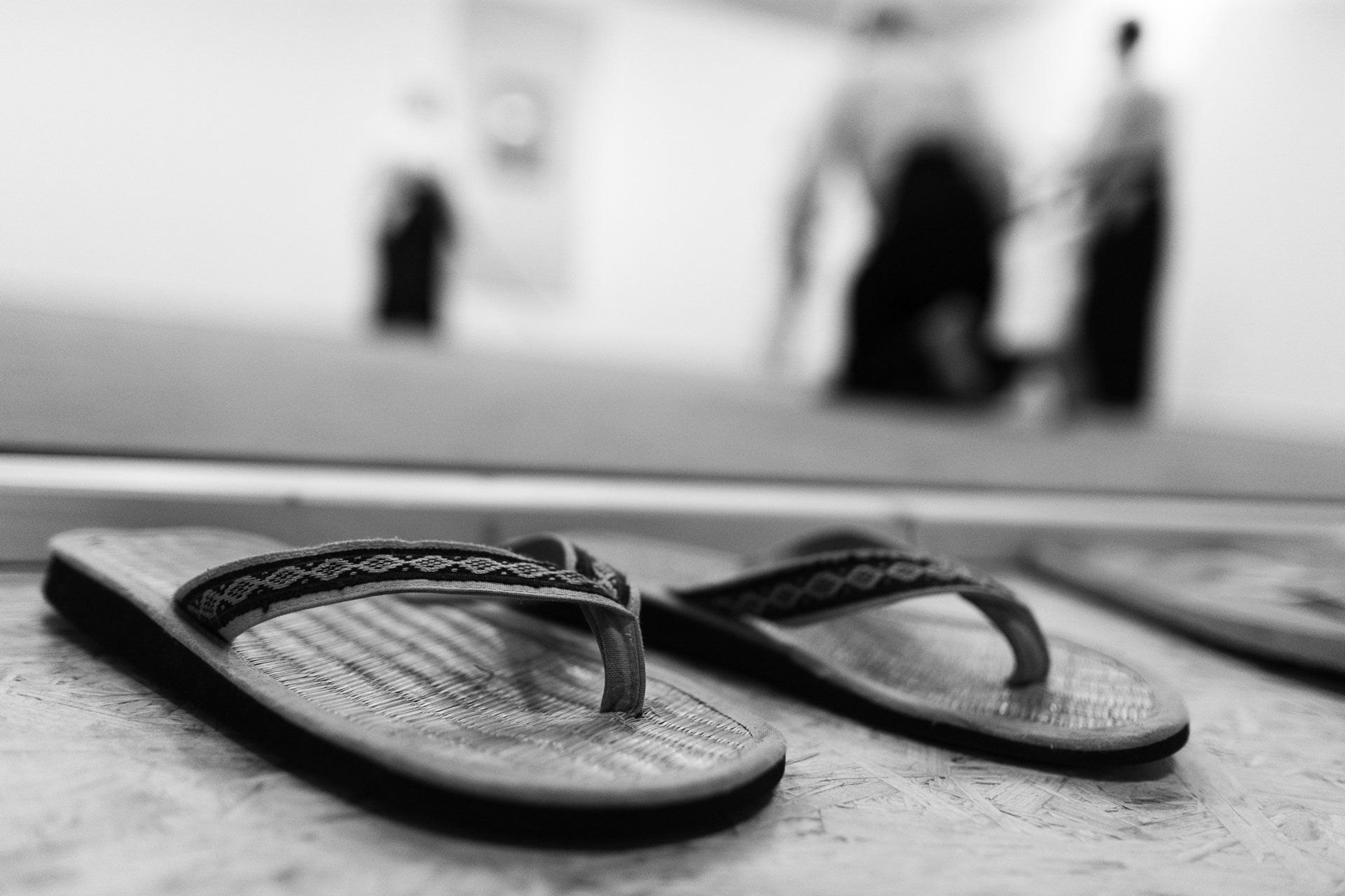 Stundenplan und Preise im Kranich Dojo