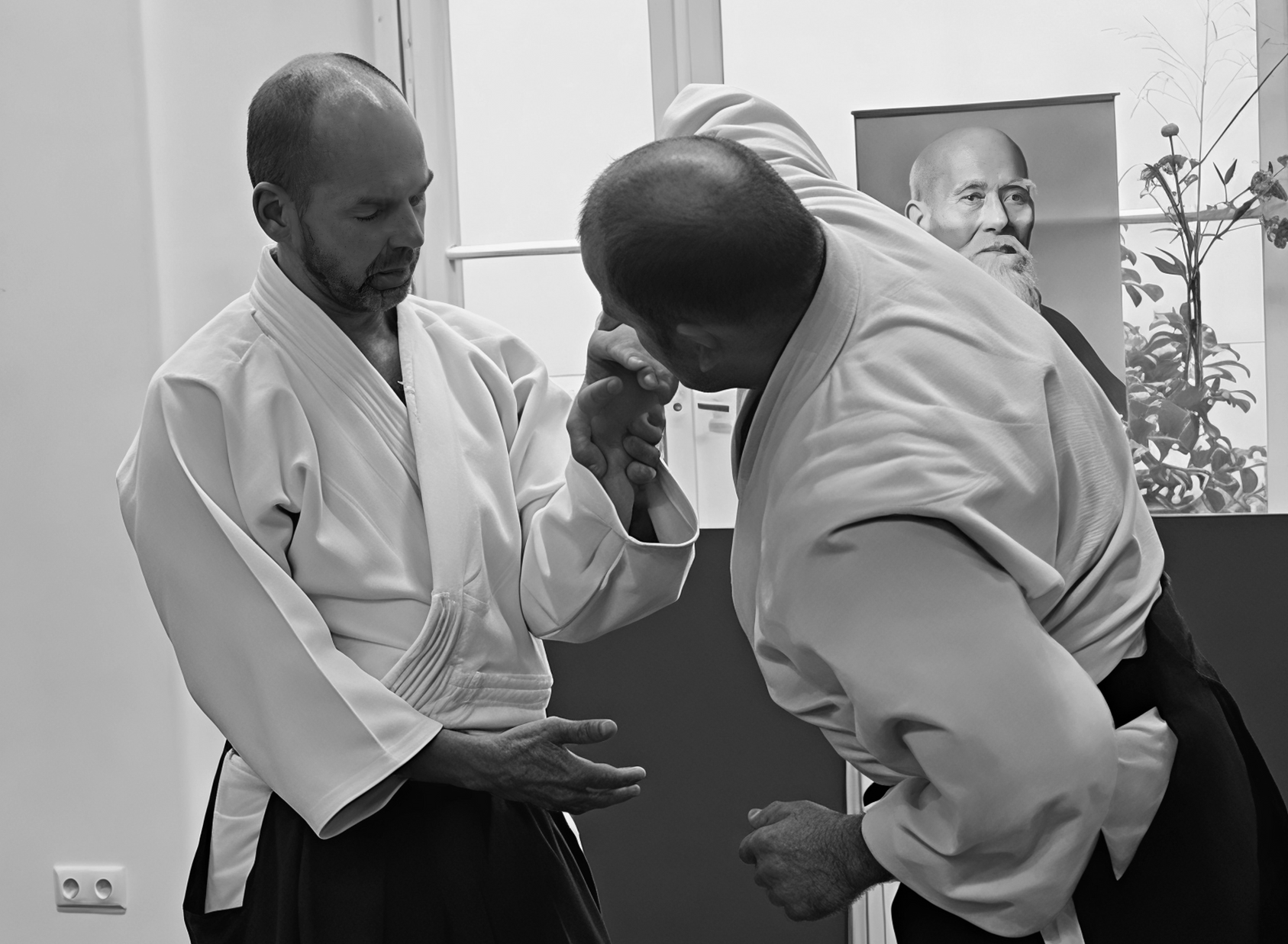 Jedes Jahr zu Pfingsten: Outdoor Aikido-Training auf Rügen, Aikido Pfingstcamp auf Rügen