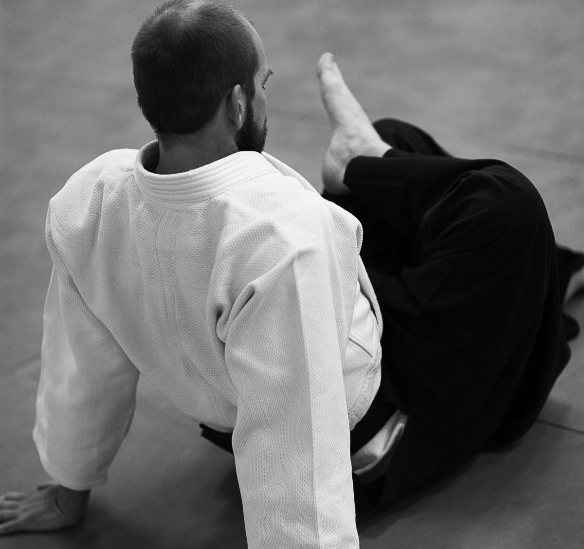 Aikido und andere Angebote im Kranich Dojo Berlin, das Aikido Dojo für traditionelles Aikido in Berlin, Heidi grot, reiner Buchholz, Otfried May, Organisator des Aikido Summer Berlin, viele internationale Gastleherer: Takeshi Yamashima, Franck Noel, Gaston Nicolessi, Greg Angus, Lisa Tomoleoni, Lia Suzuki u.a.