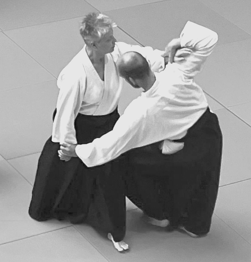 Stundenplan und Preise im Kranich Dojo