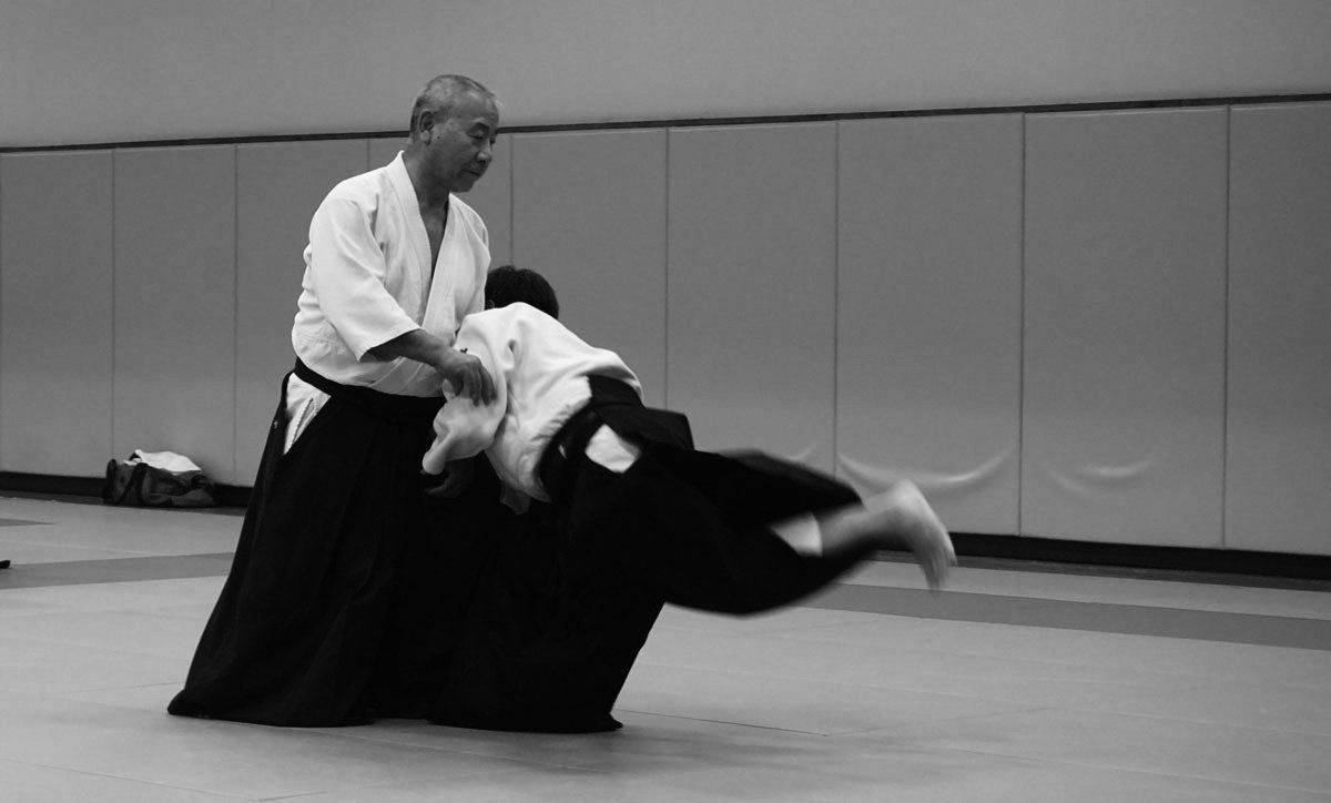 Termine im Kranich Dojo Berlin, das Aikido Dojo für traditionelles Aikido in Berlin, Heidi Grot, Reiner Buchholz, Otfried May, viele internationale Gastlehrer: Takeshi Yamashima, Franck Noel, Greg Angus u.a.