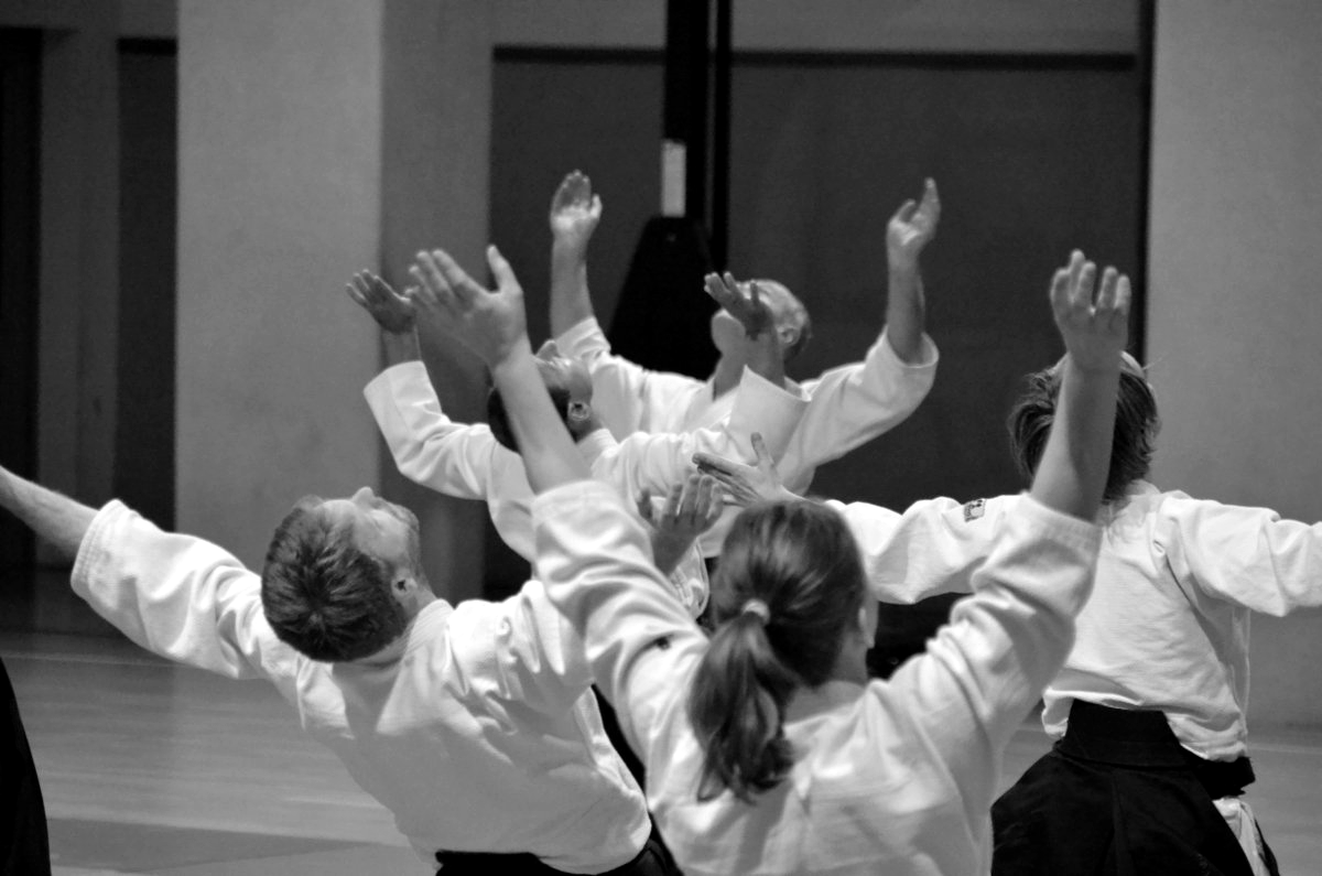 Aikido Summer Berlin, Europas größtes Freundschaftsseminat mit 13 LehrerInnen aus 12 Nationen, organisiert vom Kranich Dojo Berlin, Heidi grot, reiner Buchholz, Otfried May
