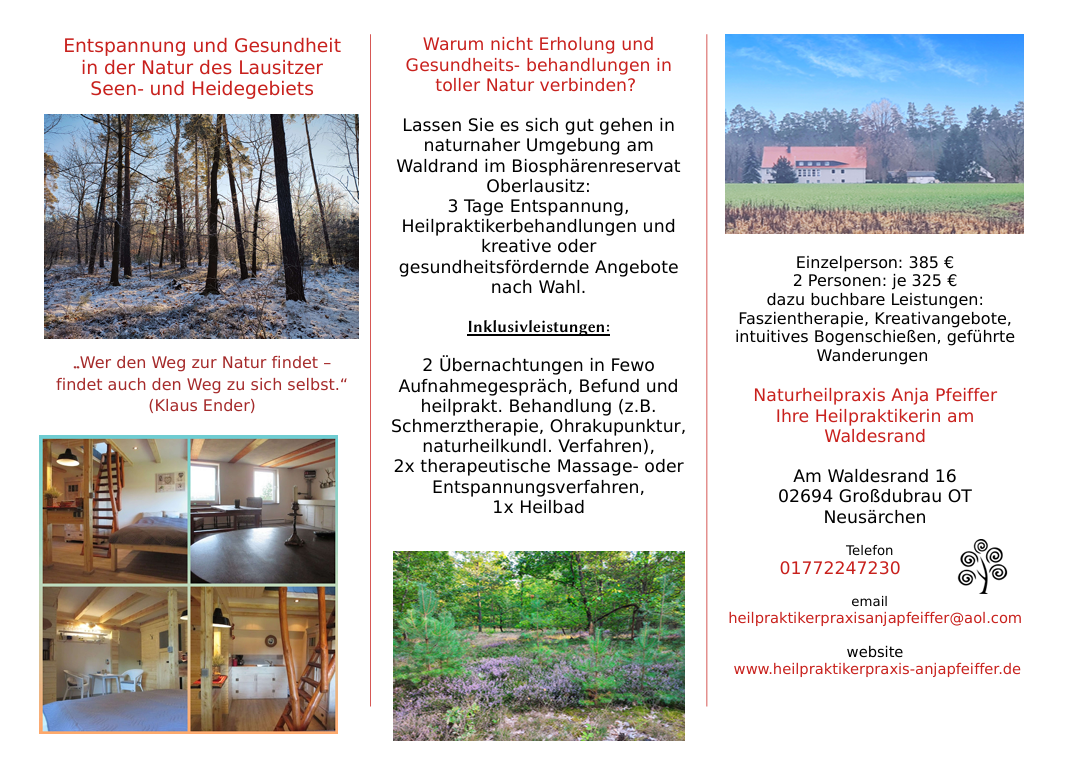 Gesundheitstage Oberlausitzer Seen, Inhalte