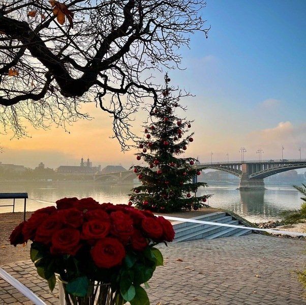 Wie wichtig ist Dir Gesundheit? Gesundheit oder Geschenke Mainz