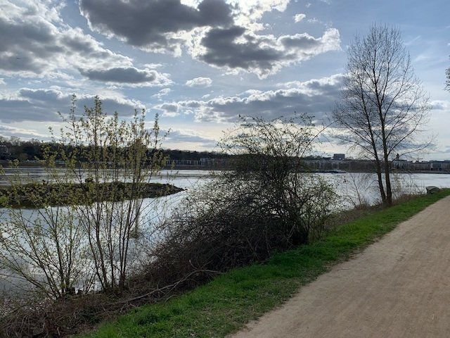 Mainz-Kastel, Maaraue