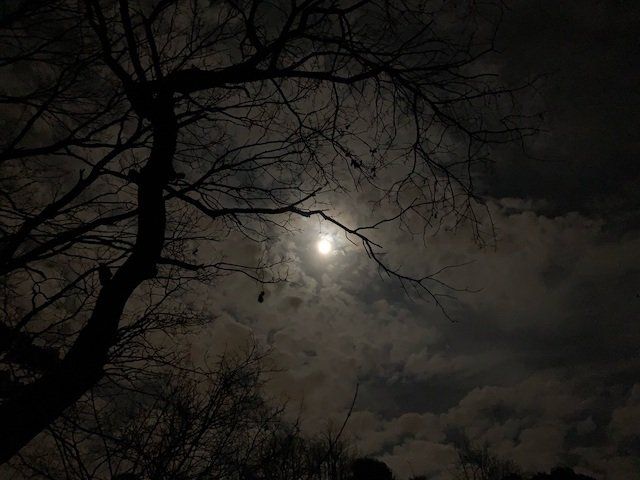 Depression, depressive Verstimmung, Trauma Traurigkeit, Trauma, Traumata