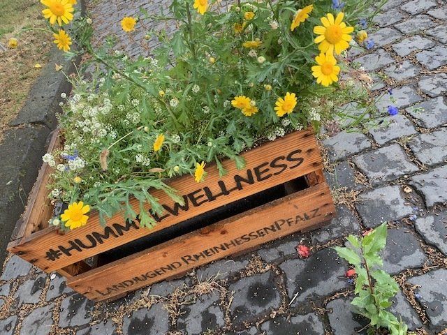 Allergie Heuschnupfen Frühling Mainz