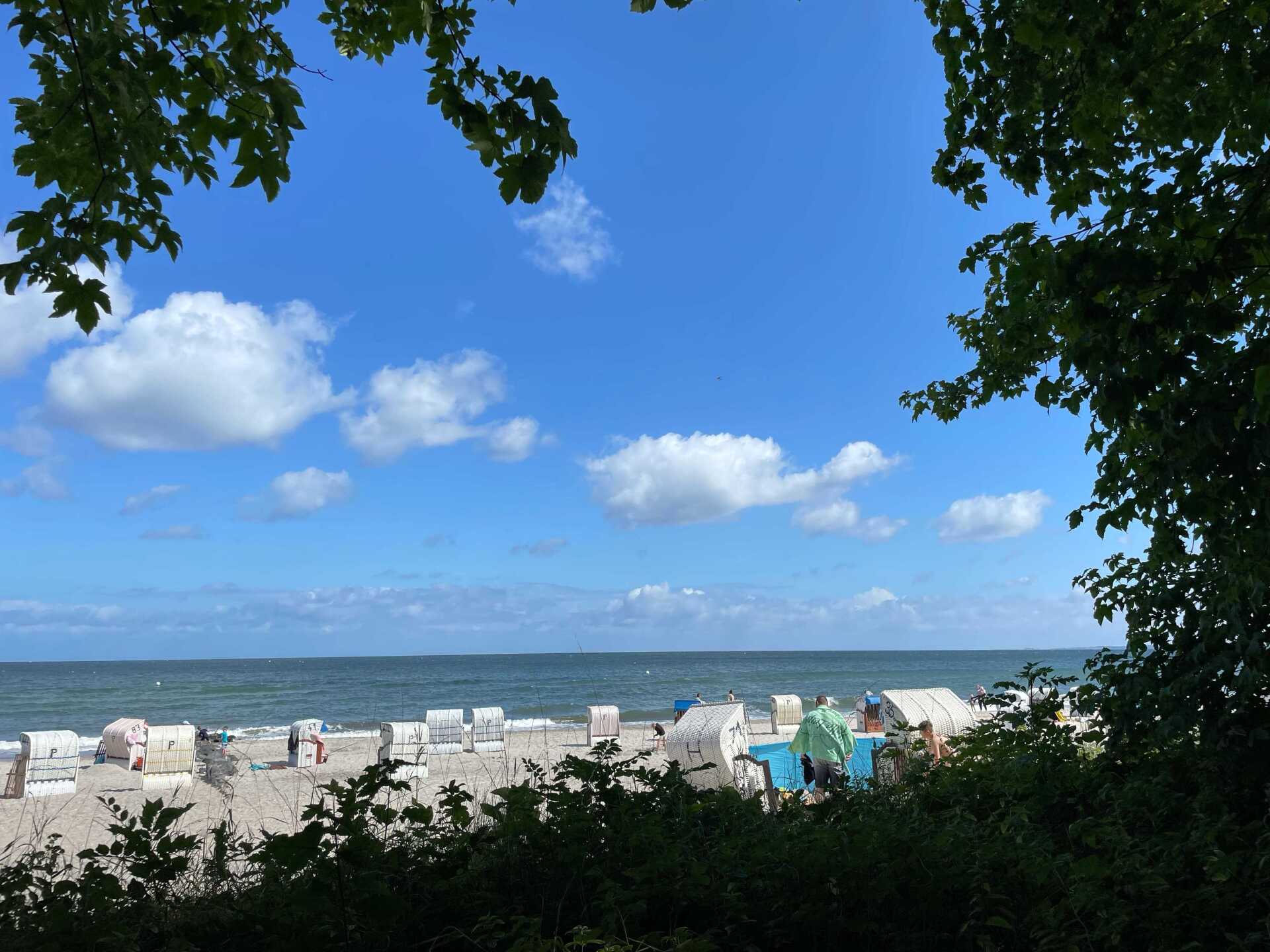 Sommerkrankheiten Blasenentzündung