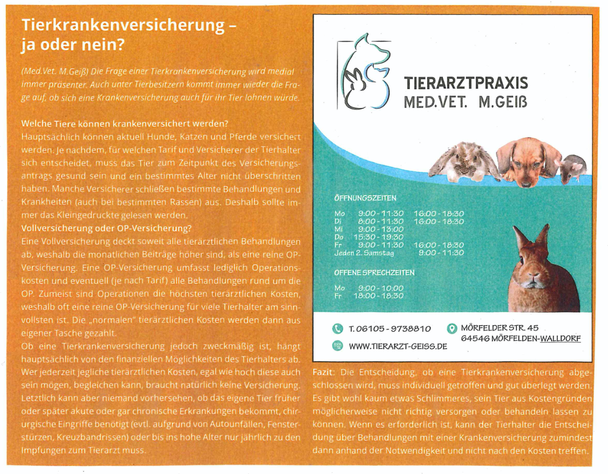 Artikel im Stadtanzeiger