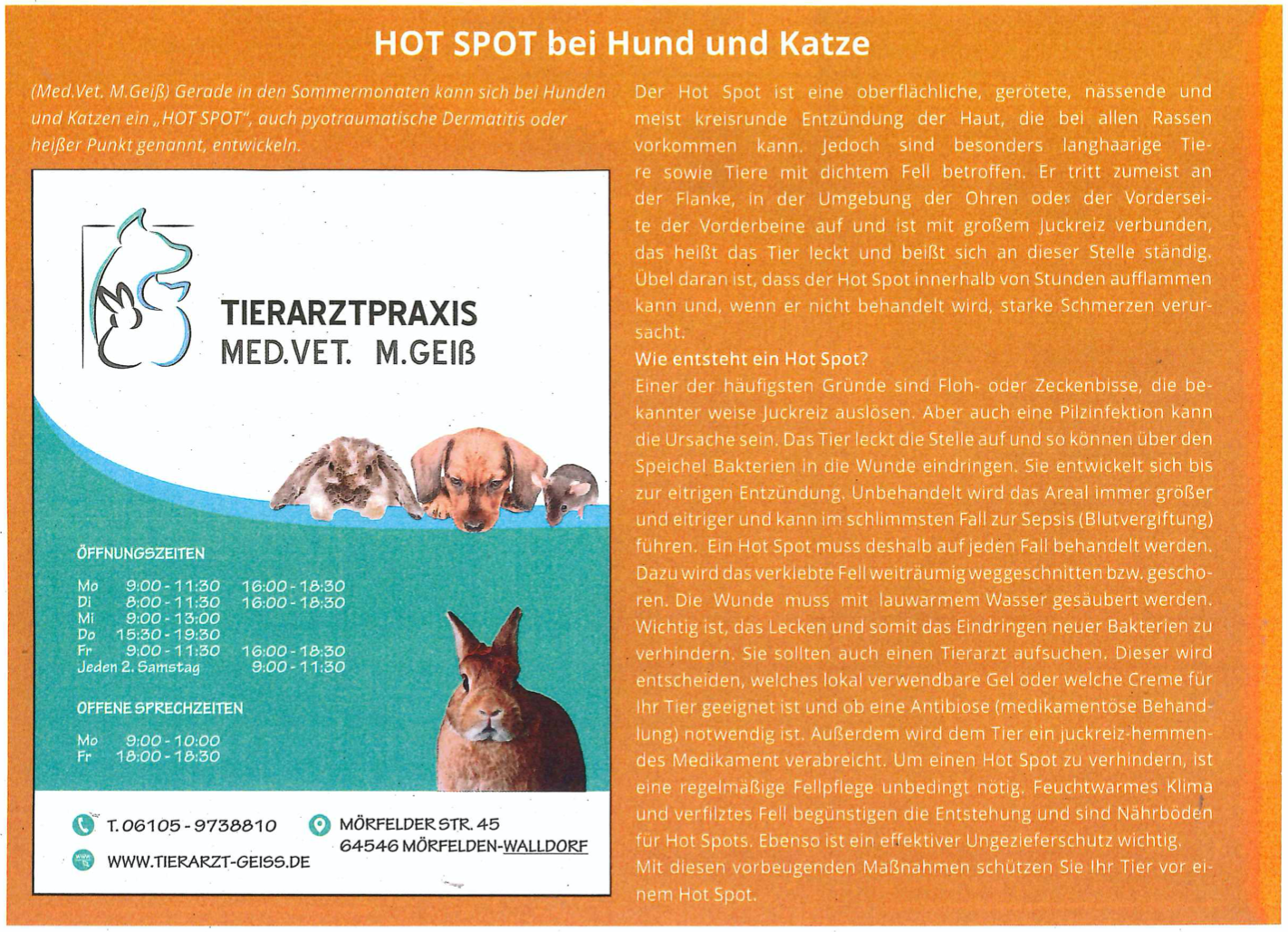 Artikel im Stadtanzeiger