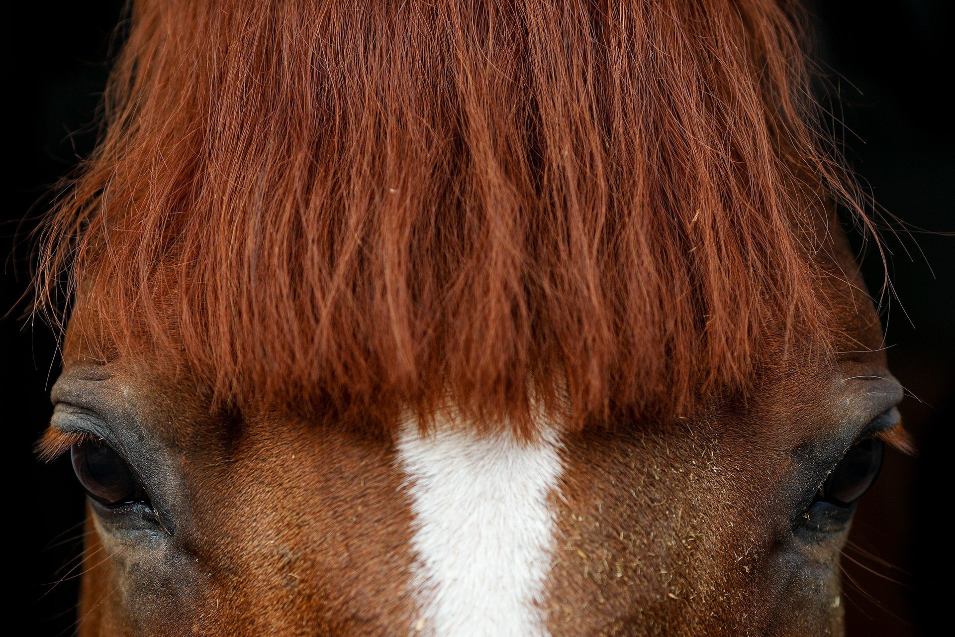 Beim Friseur nennt man das wohl