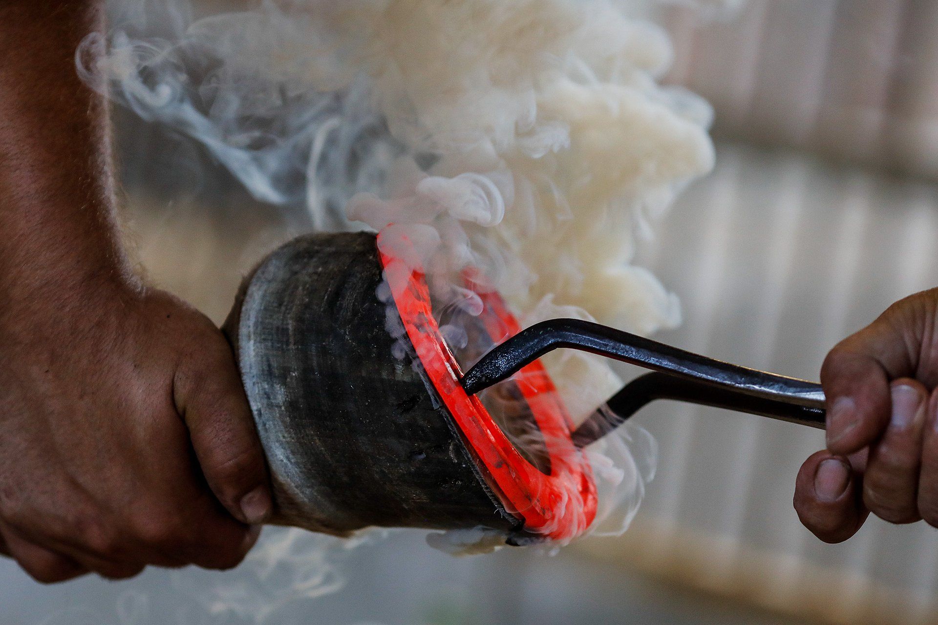 Ein Pferd wird am 23.07.2018 in der Hengstprüfungsanstalt (HPA) in Adelheidsdorf, das dem Niedersächsischen Landgestüt Celle angehört, von einem von einem Hufschmied beschlagen. Foto: David Ebener ***Stichworte*** #Pferdeserie, Pferdeserie, Pferd, Pferde, Landgestüt, Landesgestüt, Gestüt, Schmied, Huf, Hufeisen, glühen, rot, heiß