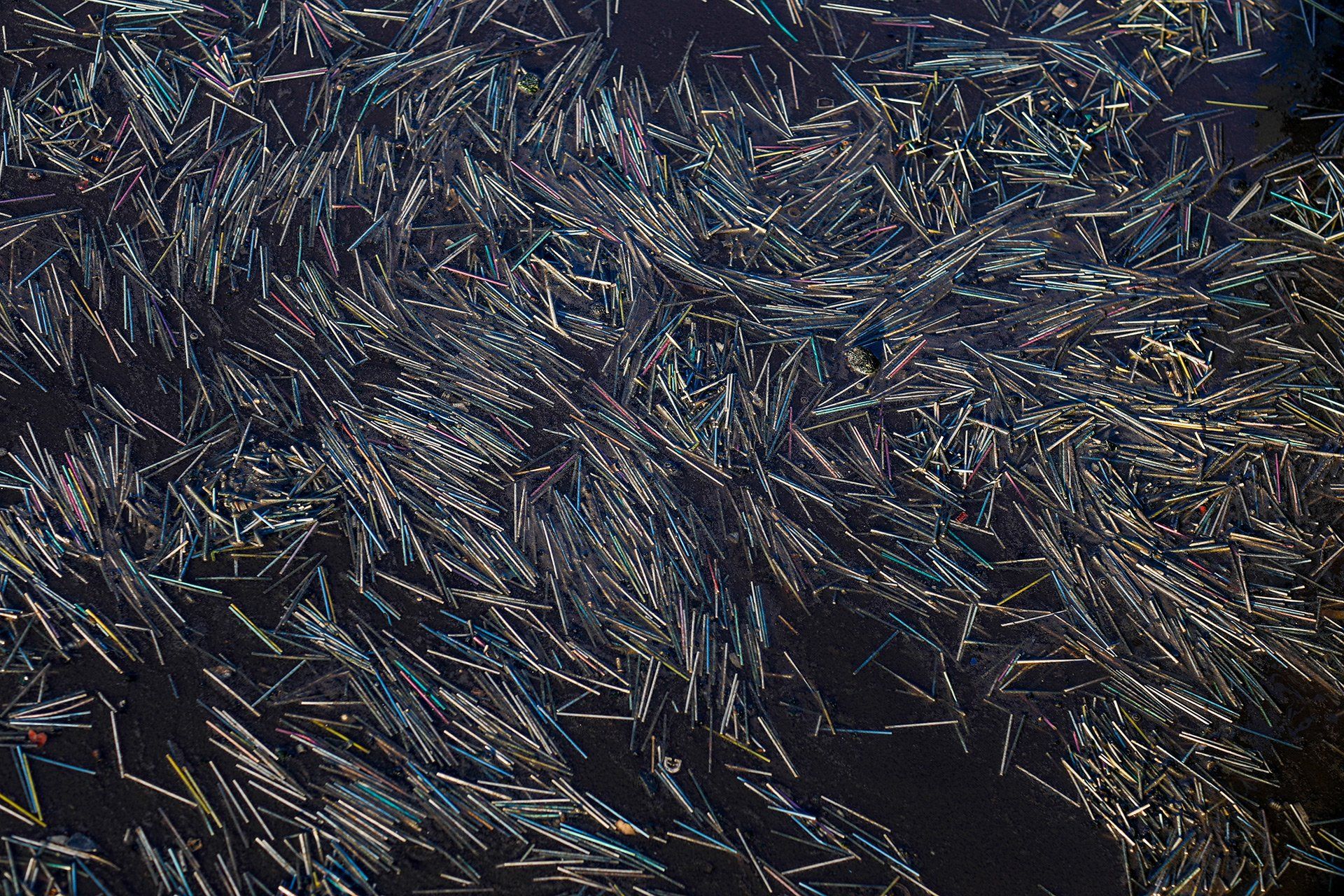 Fundstücke aus dem Klärwerk Eversburg in Osnabrück, aufgenommen am 15.02.2017. Foto: David Ebener *** Stichworte *** Q-Tip, Q-Tips, Wattestäbchen, Ohrenstäbchen, Plastik, Müll