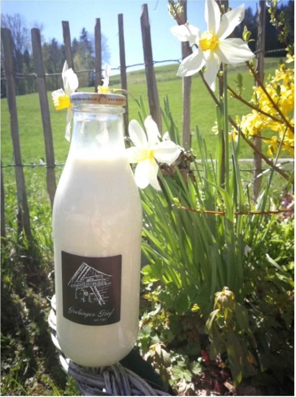 Grubingerhof Milchflasche