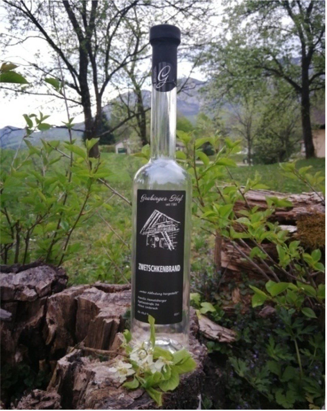 Grubinger Schnaps