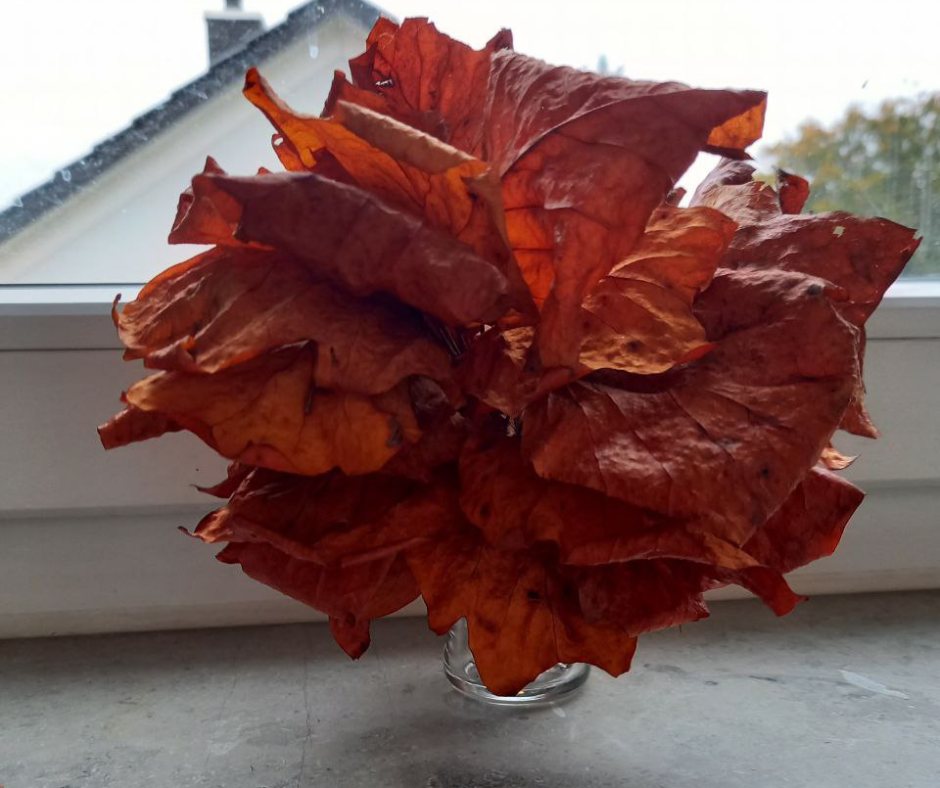 Es ist schon dunkel,
ich bin unterwegs
mein abendlicher Spaziergang.
Im Augenwinkel sehe ich etwas
e