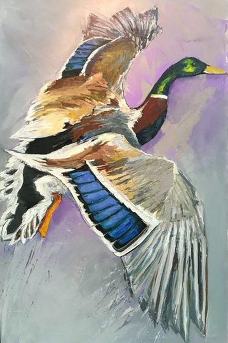 Col vert mâle_96x149_Série Faune sauvage