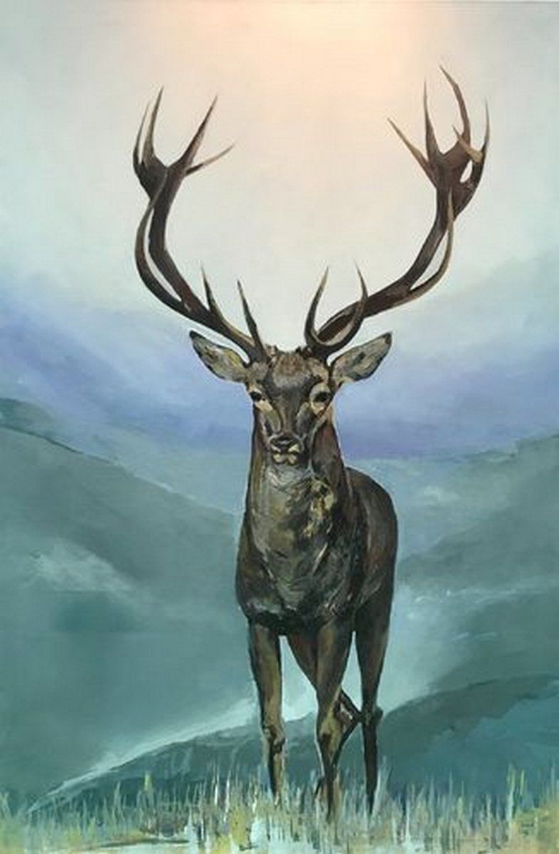 Cervus le cerf_96x149_Série Faune sauvage