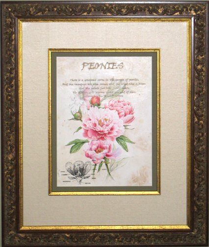 Watercolour of peonies framed with a cream fabric wrapped mat, antique gold fillets and ornate frame