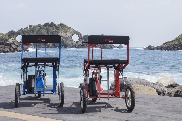 leichter faltbarer Elektroscooter mit 3 Rädern Elektromobil leicht 3 Rad faltbar klein