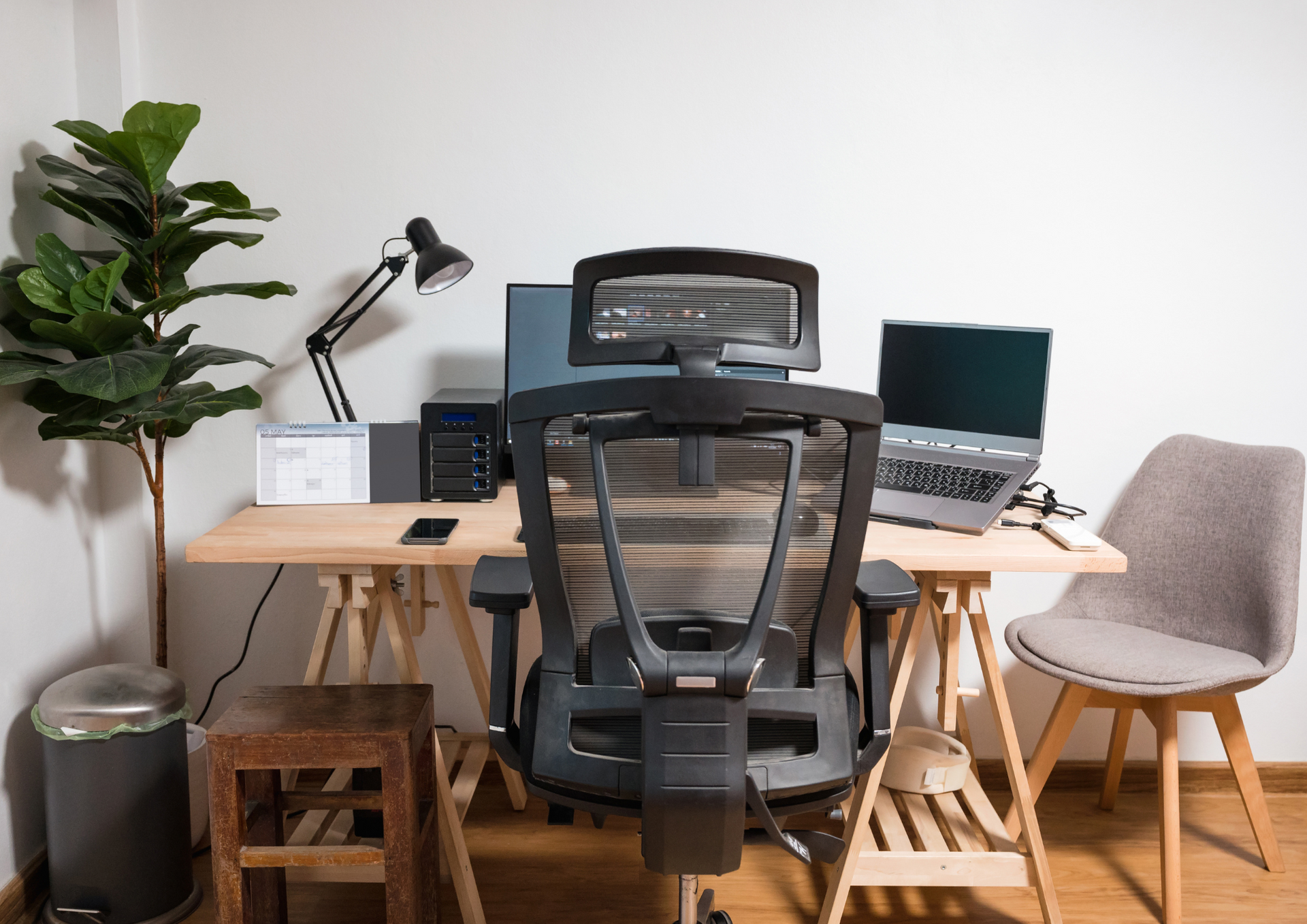 ¿Cuál es la mejor opción para tu bienestar y productividad?