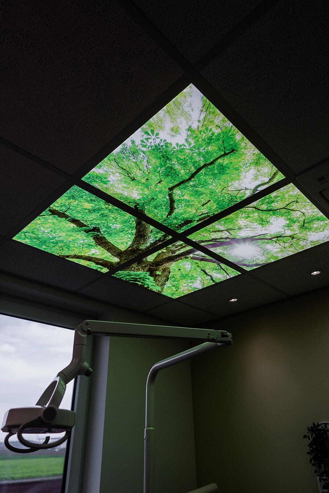 Zahnarztpraxis Christian Thim Erlensee, Natur, Behandlungsraum mit Deckenbild, moderne Zahnarztpraxis Erlensee