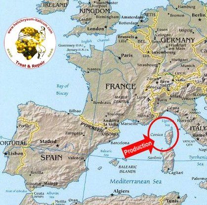 Corsica, our little island in eastern mediterranean