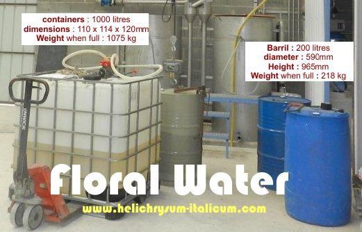 floral water hydrolat from Corsica