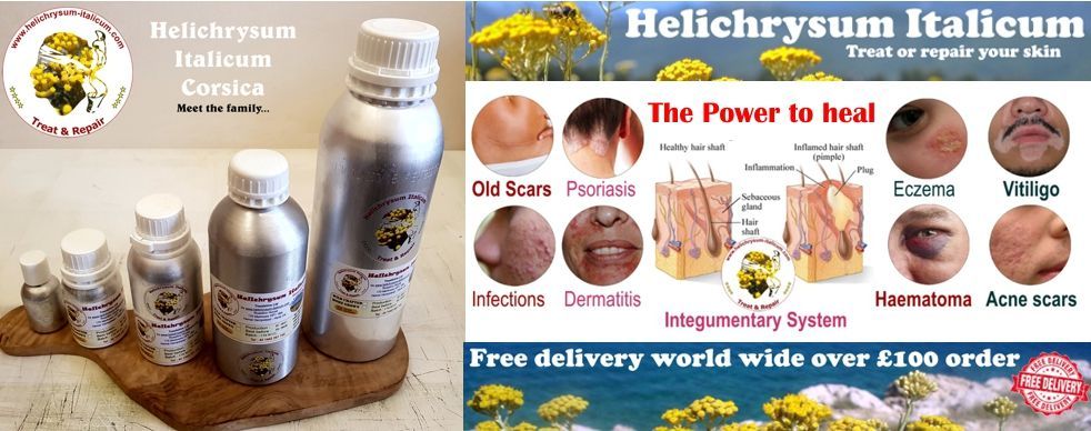 Helichrysum has the ability to prevent or treat the skin, before issues