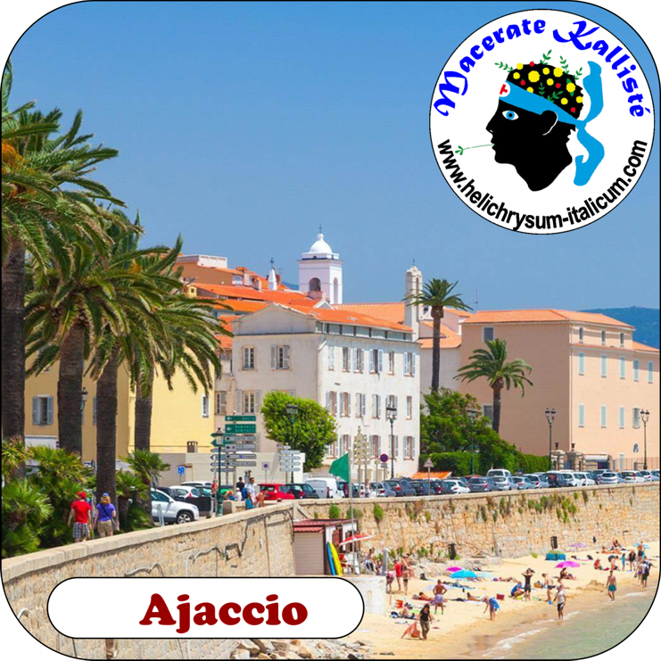 Ajaccio by the sea, with Lycee Fesh on the left