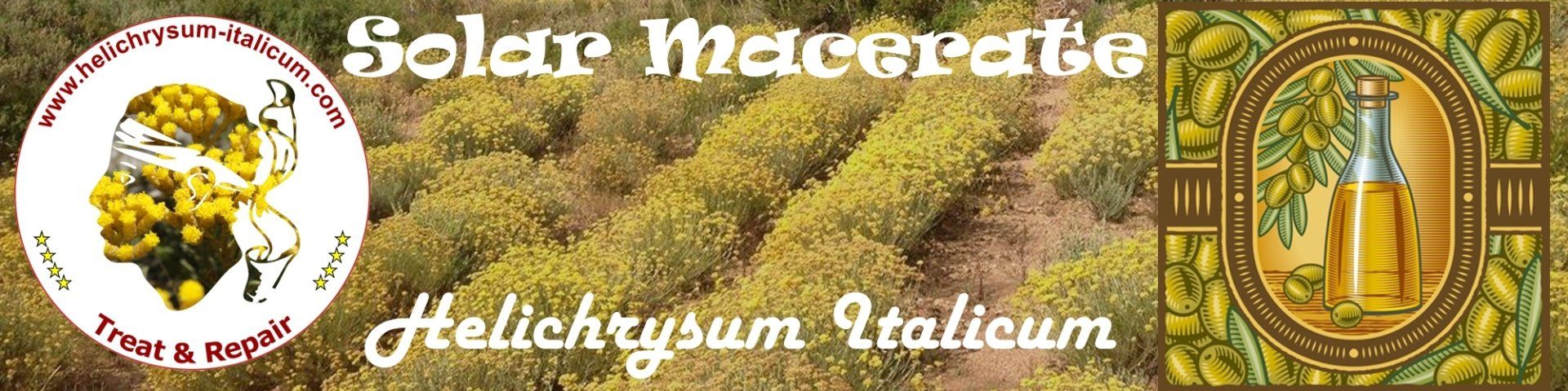 solar maceration