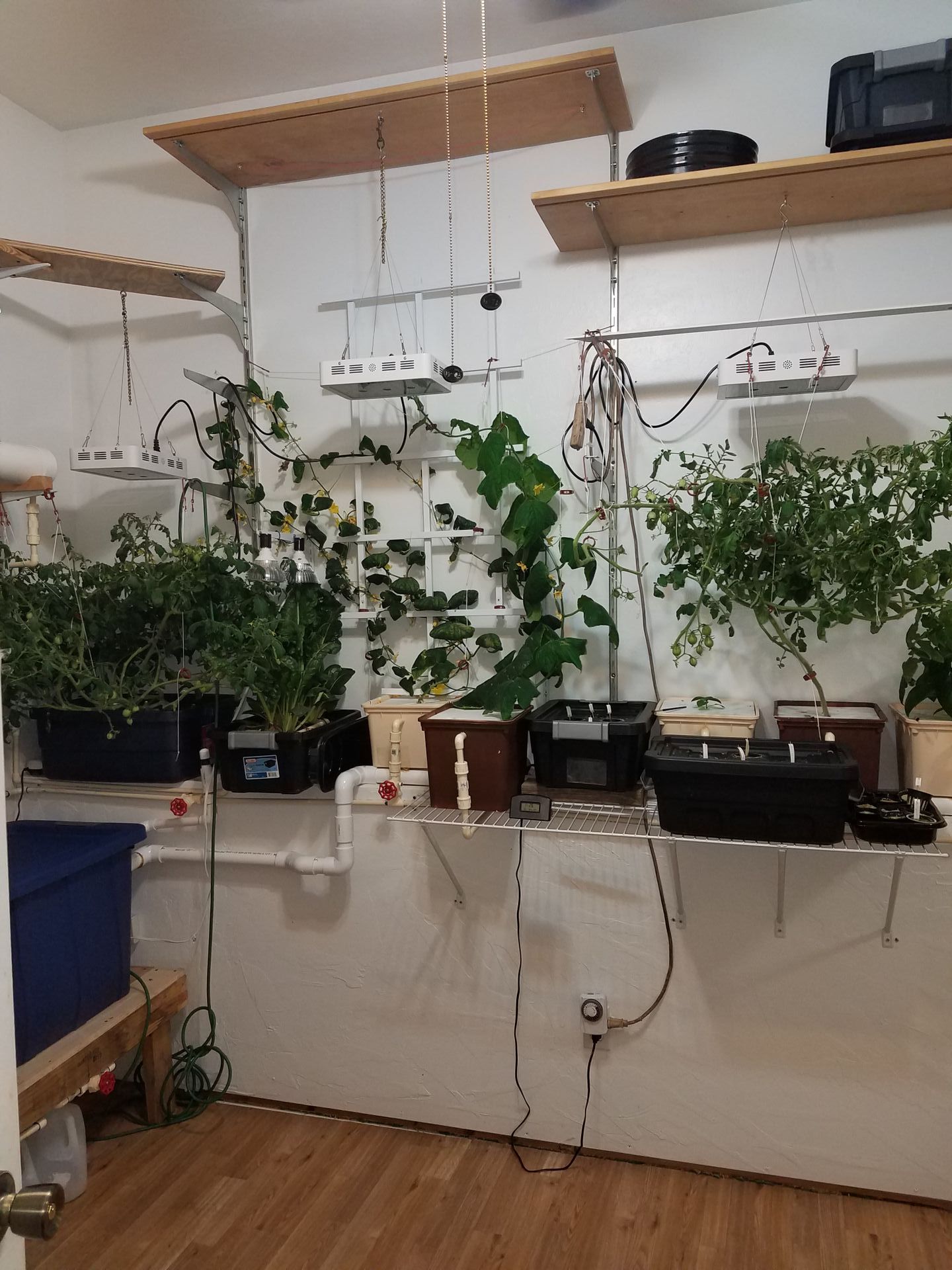 indoor hydroponic room