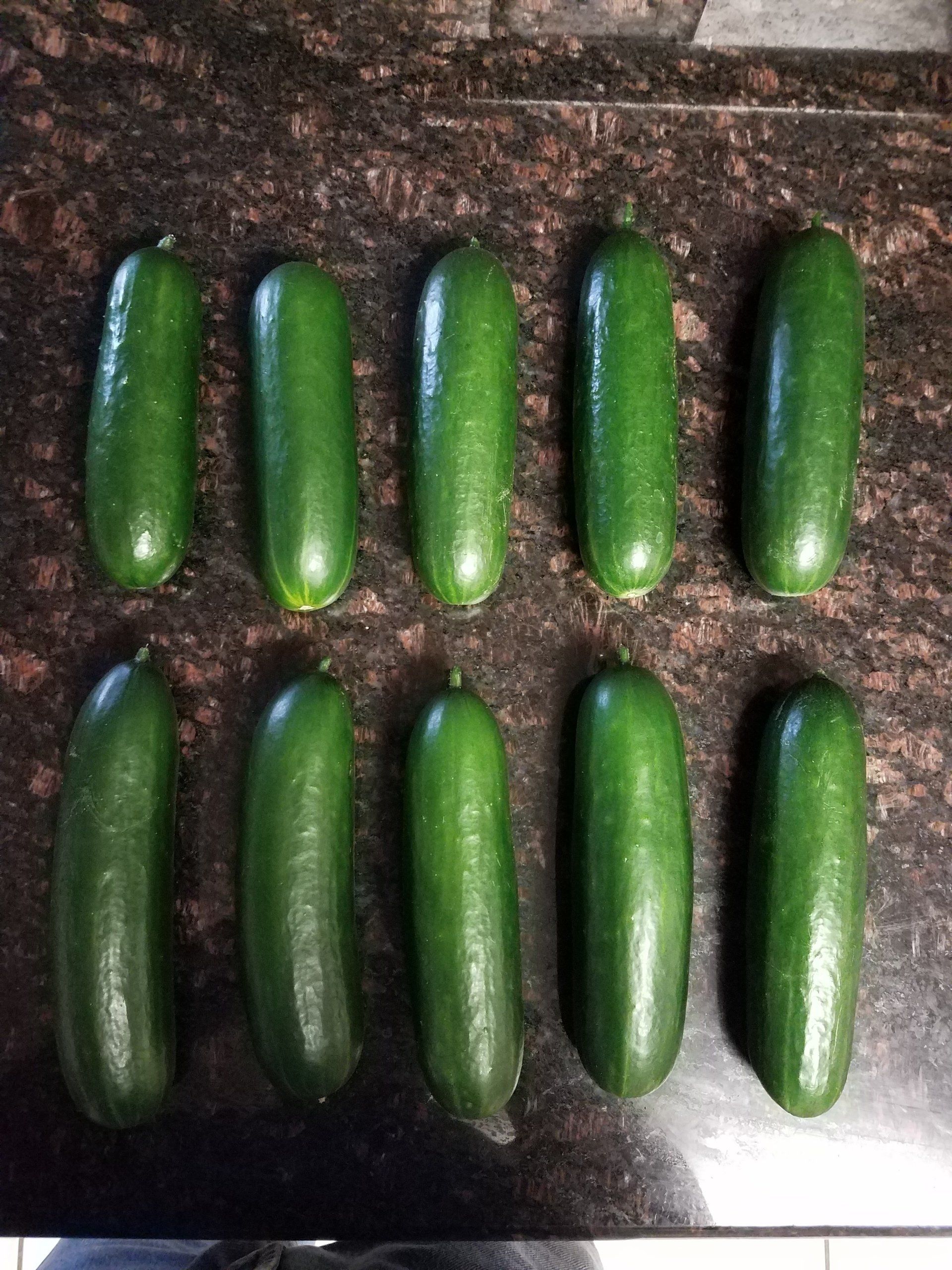 cucumber