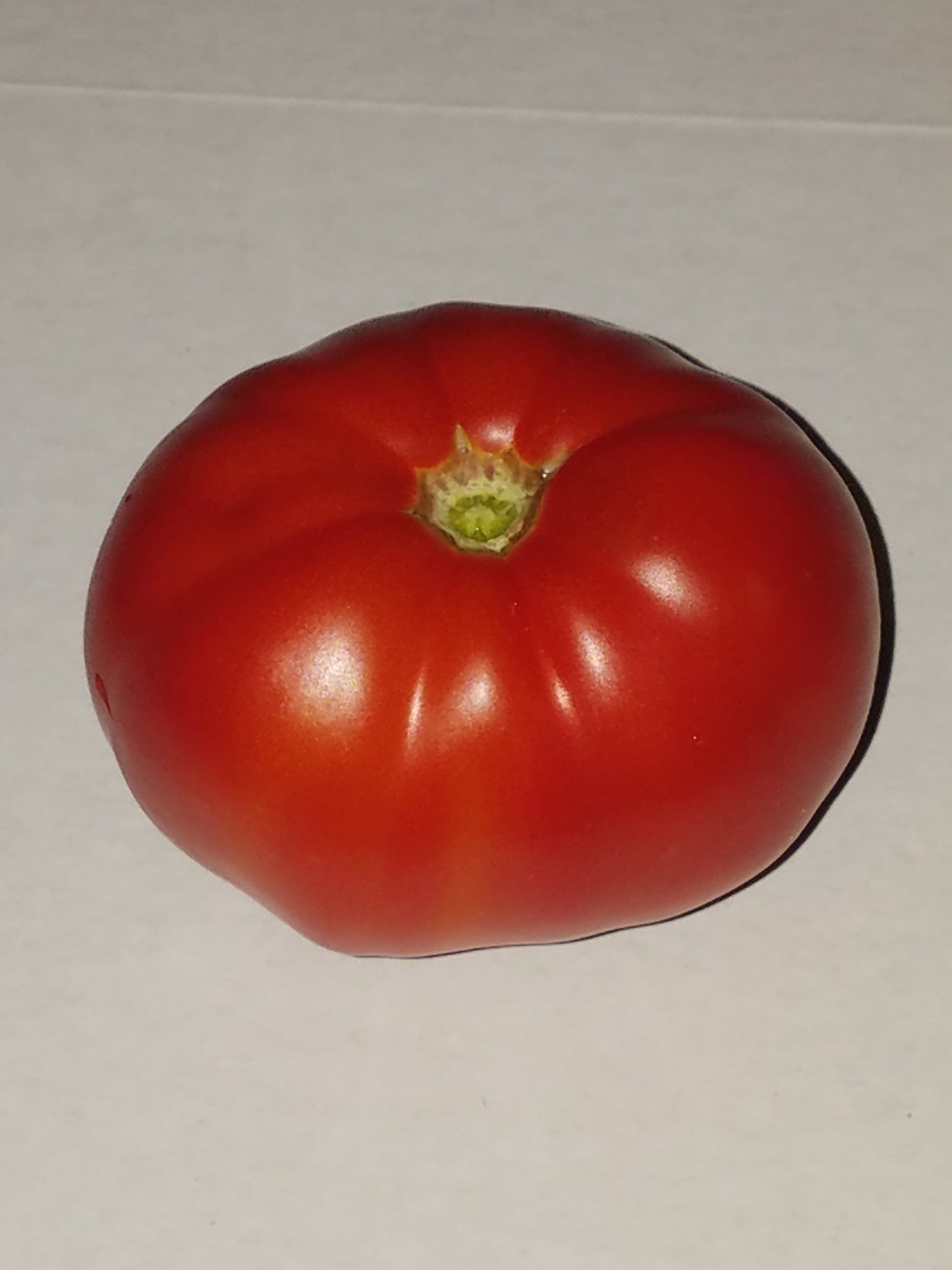 Tomato