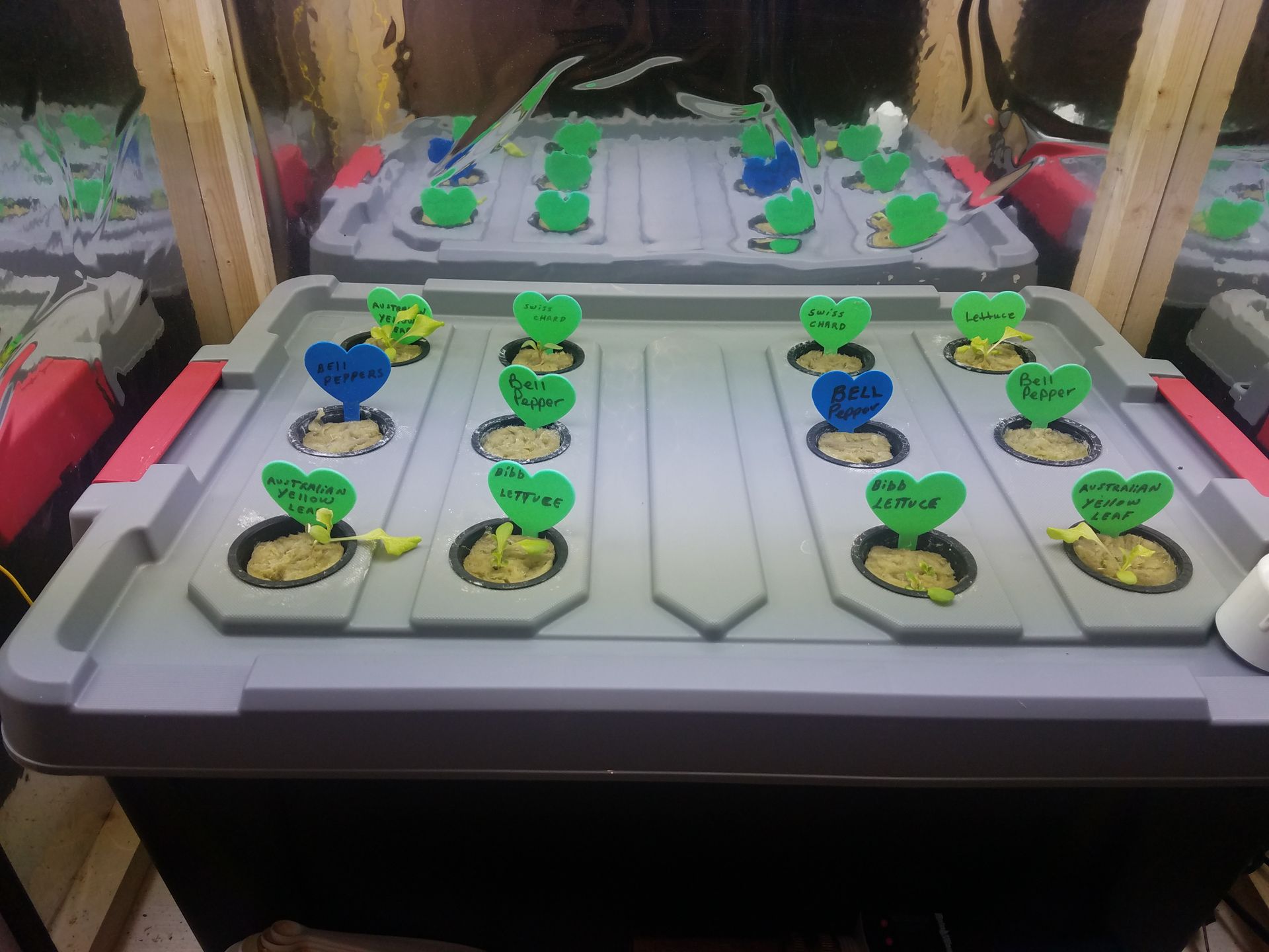 hydroponic cloner