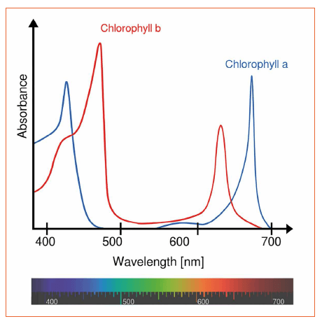 Photosynthetic Active Radiation (PAR)