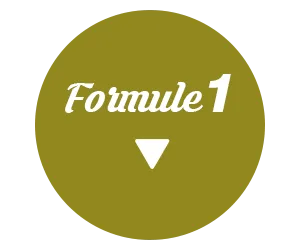 CONFERENCE INITIATION